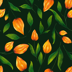 Gouache hand drawn orange physalis flowers and green leaves seamless pattern. floral print. Botanical pattern on dark green background.