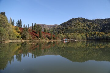 Beautiful colored trees with lake in autumn, landscape photography. Artvin/turkey