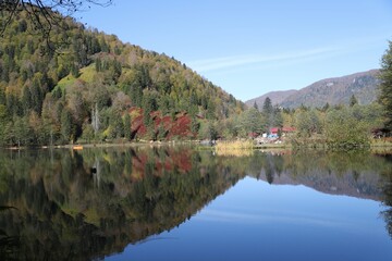 Fototapeta na wymiar Beautiful colored trees with lake in autumn, landscape photography. Artvin/turkey
