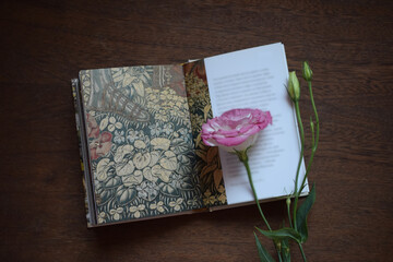 Delicate Eustoma Lisianthus (Texas bluebell, prairie gentian) flower and a notebook (painting page and white page) on a dark wooden background. Free space for your text