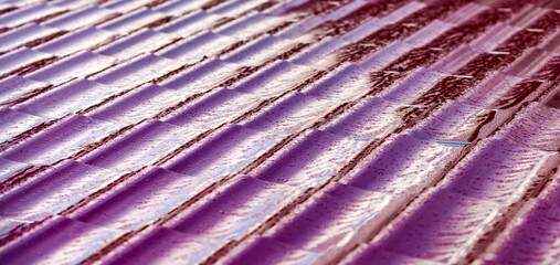 Metal roof in dew in the morning in summer