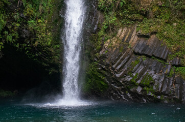 Fototapeta premium 浄蓮の滝、秋景色｜滝の水量と音、そして壁面の柱状節理の美観が見事です