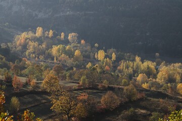 Beautiful orange and red autumn forest.turkey