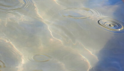 The surface of the water with circles from the raindrops