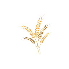 Agriculture wheat Logo Template