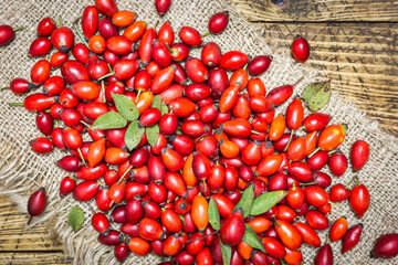 Rose hip fruits background