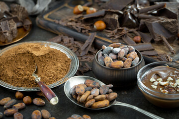 Cocoa beans on an old background.