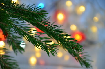 branch of a Christmas tree on a background of Christmas lights new year background, no focus, blur, blurry Closeup of Christmas tree background