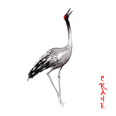 Watercolor ink crane illustration in japanese style 