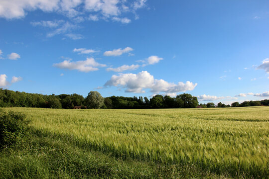 Camp pr&egrave;s de Poitiers