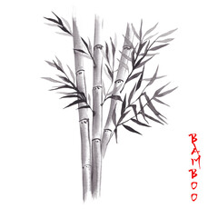 Hand drawn watercolor illustrations of bamboo forest with leaves background. Symbol of endurance, longevity and spiritual truth.	