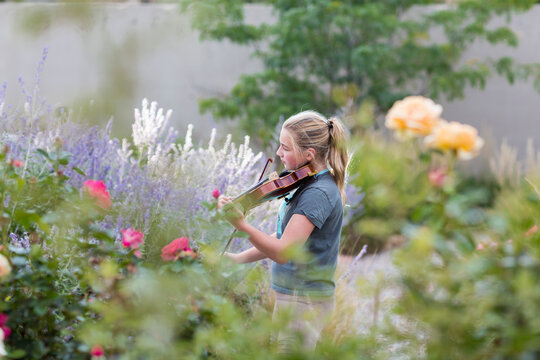 Teenage girl standing among flowering roses and shrubs, playing a violin, 