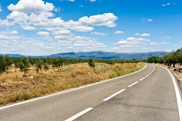 Vineyards and olive groves, near Tortosa, Tarragona, Catalonia, Spain