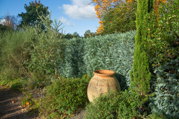 Garden borders overlooked by shaped conifer hedgerow