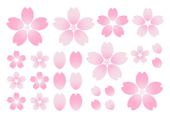 桜　イラスト素材