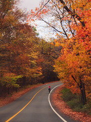 road autumn 