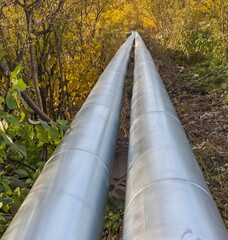 Pipes of the heating plant in a metal shell of tin on the background of vegetation in the autumn