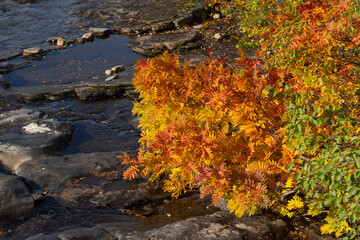 Obraz na płótnie Canvas Autumn landscape, Norway.