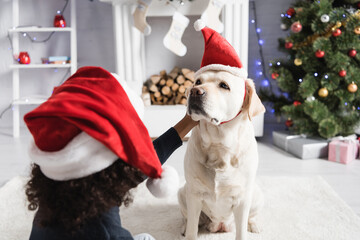 back view of african american girl stroking labrador dog in santa hat on blurred background