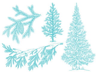 Naklejka na ściany i meble Branch christmas tree set with snow. Conifer spruce. Frosty winter. Fir-tree for postcard background. Hand drawn contour vector sketch. Fir cone.