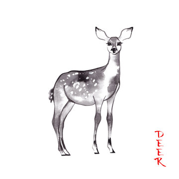 Deer baby watercolor ink illustration