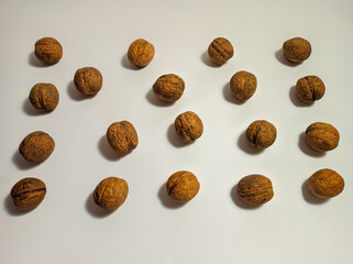 
walnuts on a white background