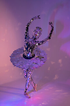 Mirror xmas ballerina dance costume