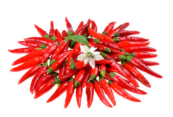 Red hot chili peppers on white isolated background