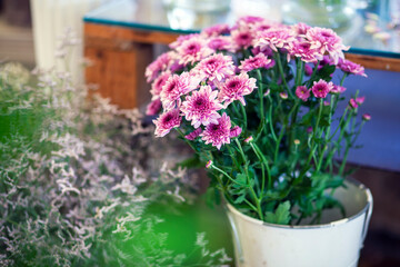 Bouquet of purple flowers in a white bucket inside a flower shop. Green leaves