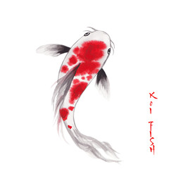 Japanese watercolor ink carp koi fish illustration