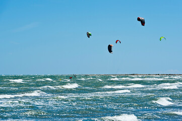 Kite surfing and windsurfing off Riumar beach, near Deltebre,  Parc Natural del Delta de l'Ebre, Castellón,  Eastern Spain