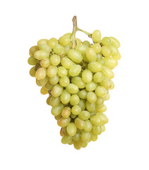 Bunch of fresh ripe juicy grapes isolated on white