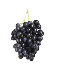 Bunch of fresh ripe juicy dark blue grapes isolated on white