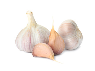 Fresh organic garlic bulbs and cloves on white background