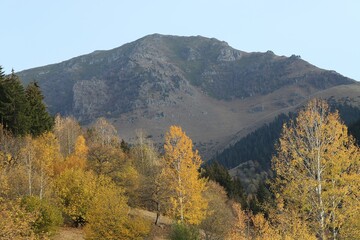 Beautiful orange and red autumn forest.turkey