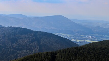Naklejka premium mountains, nature and flora, forest