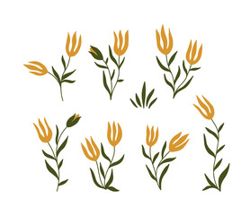 Set of absrtact fantasy flowers, hand drawn elements for decpration