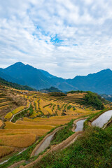 Fototapeta premium The rice bench terrace under sky