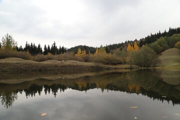 Beautiful colored trees with lake in autumn, landscape photography. Artvin/turkey