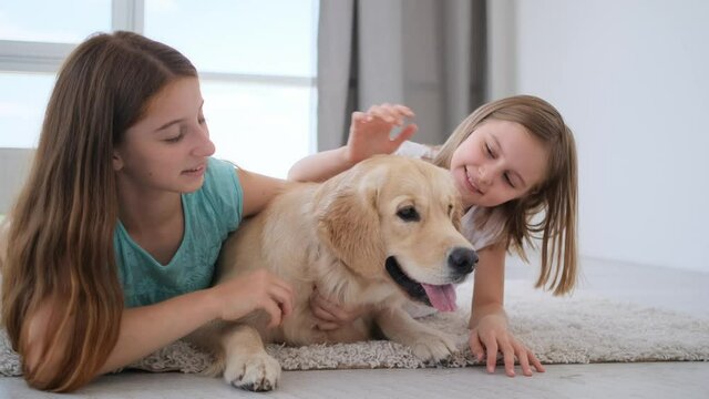 Litte girls petting dog lying on a floor, golden retriever breed