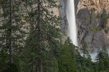 Spring landscape of Yosemite Falls captured with motion blur and framed with conifers, Yosemite National Park, California, USA