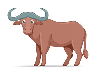 African buffalo animal standing on a white background