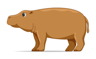 Hippopotamus animal standing on a white background
