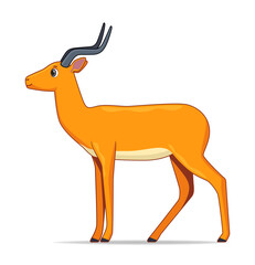 Impala antelope animal standing on a white background