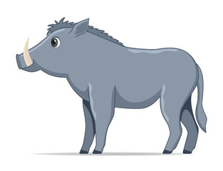 Warthog animal standing on a white background