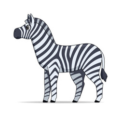Zebra animal standing on a white background