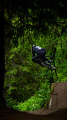 Downhill MTB jumb in the green forest of morgin in switzerland.