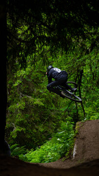 Downhill MTB jumb in the green forest of morgin in switzerland.