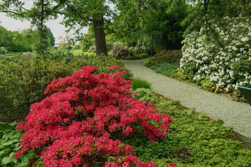 Berggarten - Herrenhäuser Gärten - Hannover