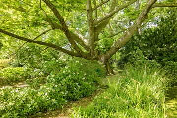 Berggarten - Herrenhäuser Gärten - Hannover